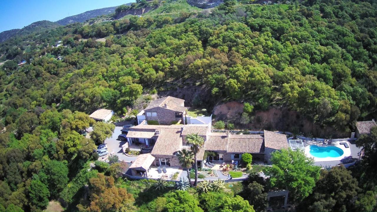 Les Aurochs Panzió Grimaud Kültér fotó