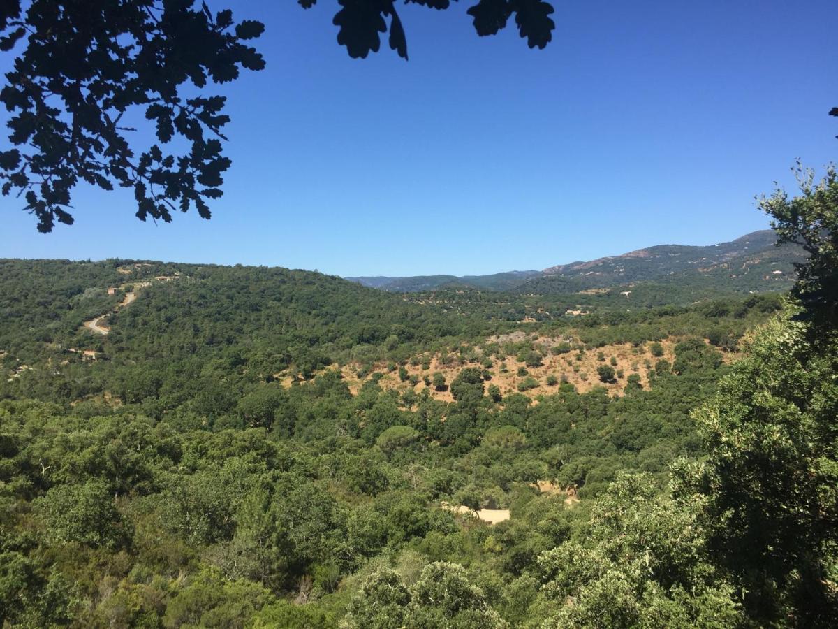 Les Aurochs Panzió Grimaud Kültér fotó
